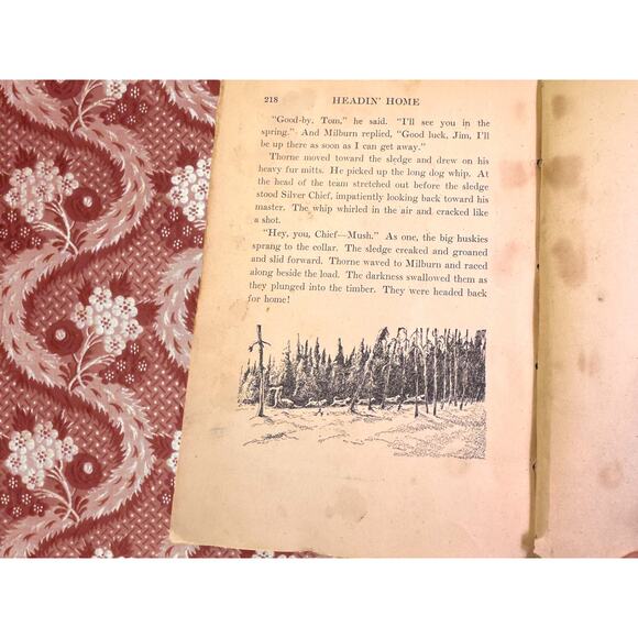 Silver Chief: Dog of the North by Jack O’Brien 1933 HC – School Edition - Picture 14 of 14